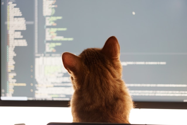 Курс Python